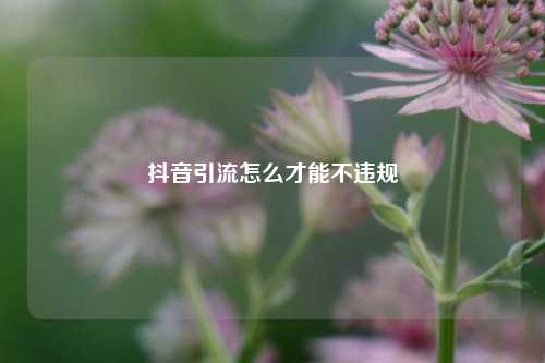 抖音引流怎么才能不违规