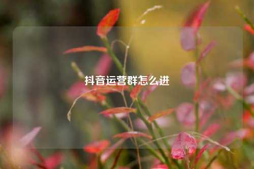 抖音运营群怎么进