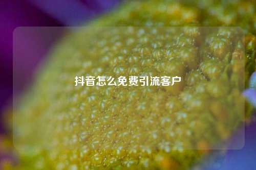 抖音怎么免费引流客户