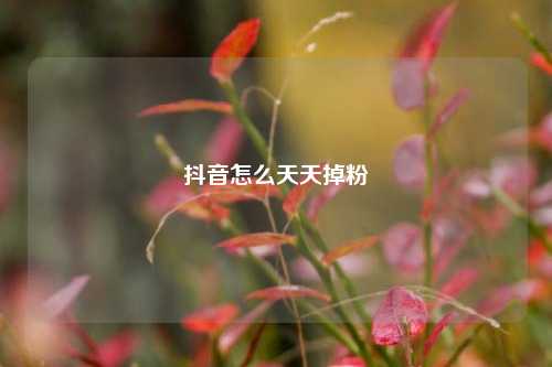 抖音怎么天天掉粉