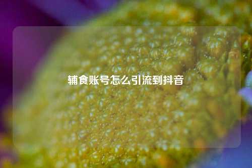 辅食账号怎么引流到抖音