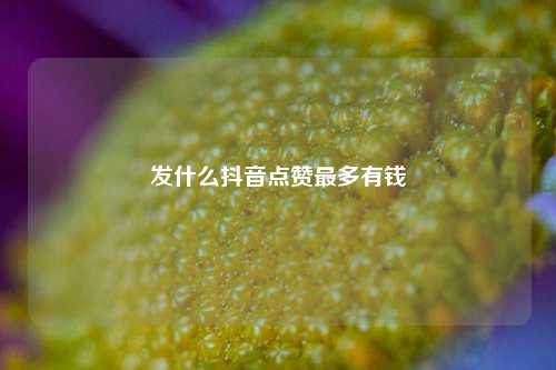 发什么抖音点赞最多有钱