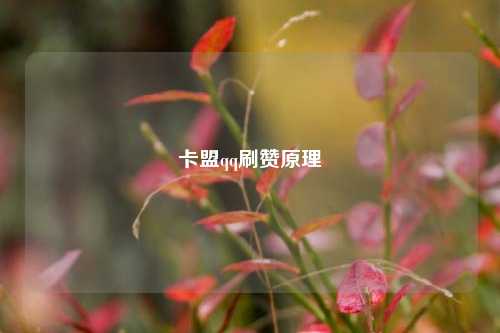 卡盟qq刷赞原理