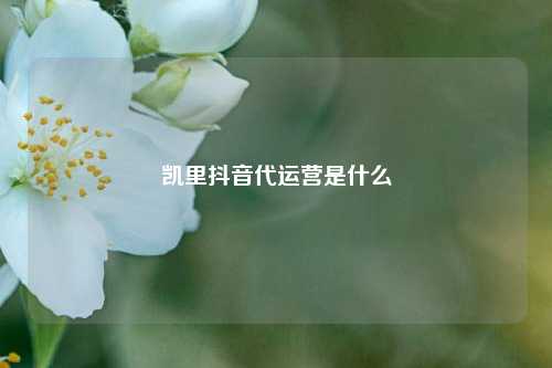 凯里抖音代运营是什么