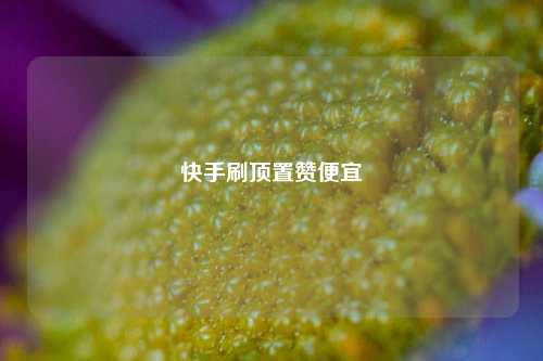 快手刷顶置赞便宜