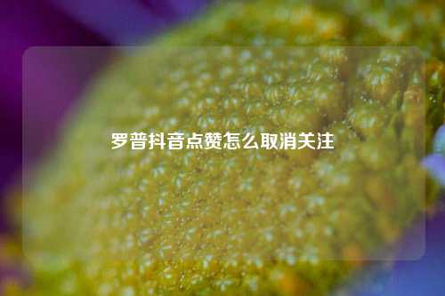 罗普抖音点赞怎么取消关注