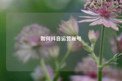 如何抖音运营账号