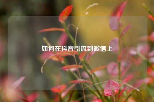 如何在抖音引流到微信上