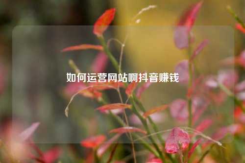 如何运营网站啊抖音赚钱