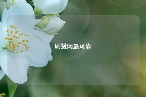 刷赞网最可靠