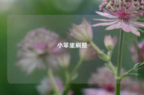 小笨蛋刷赞